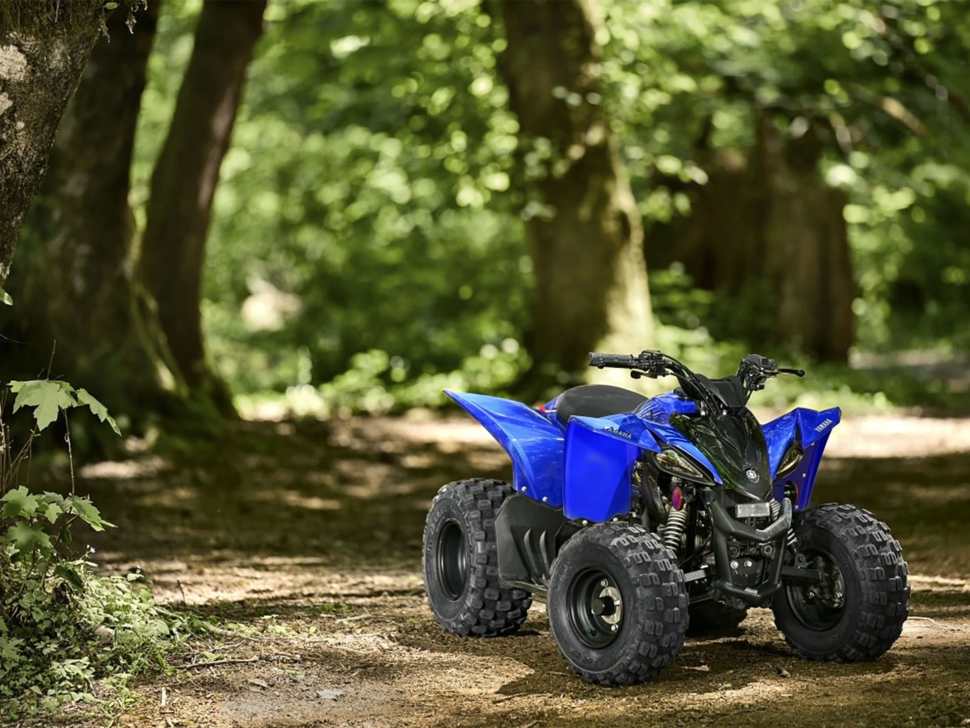 2025 Yamaha YFZ50 in Watkins Glen, New York - Photo 8