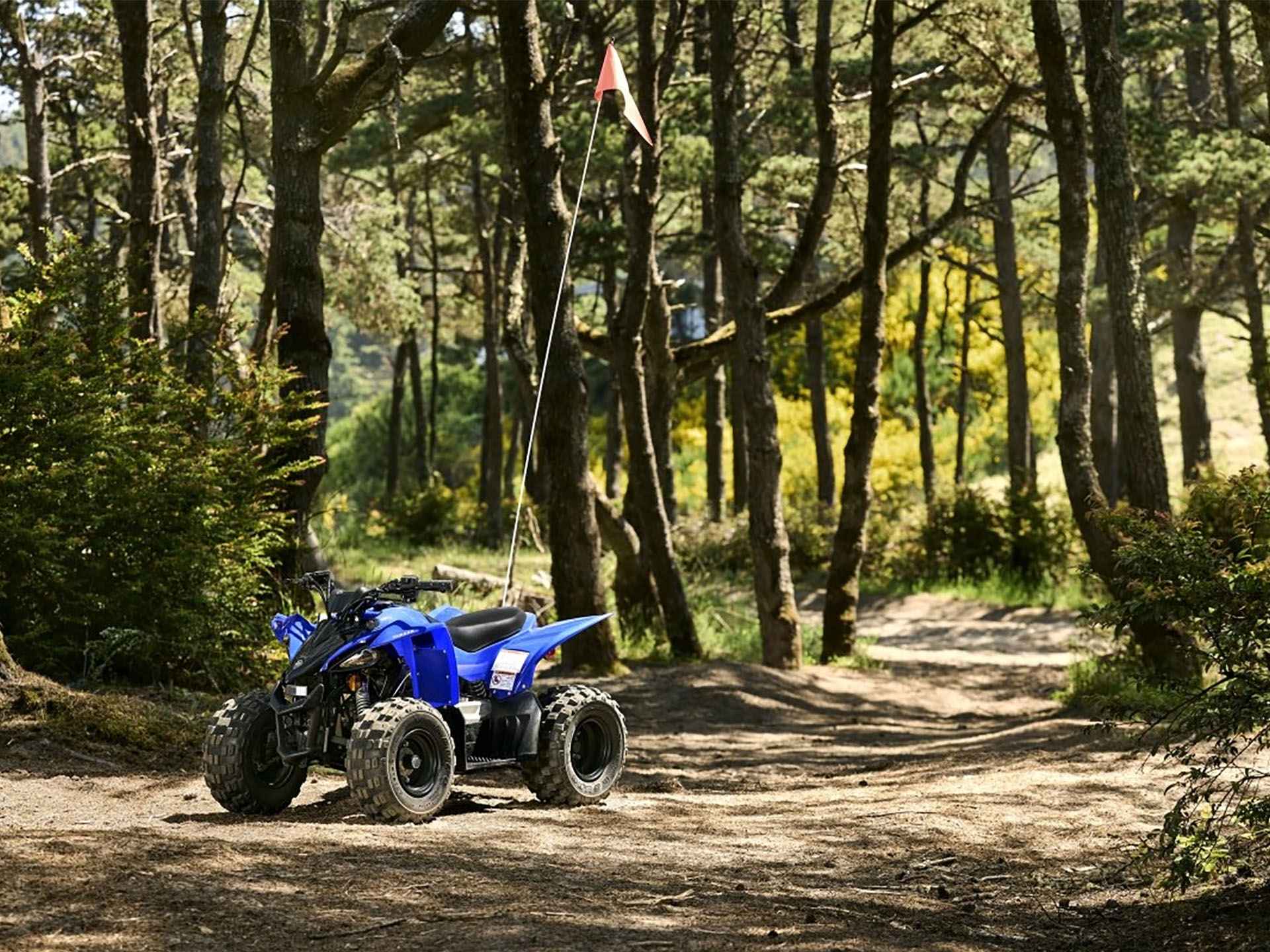 2025 Yamaha YFZ50 in Bettendorf, Iowa - Photo 10