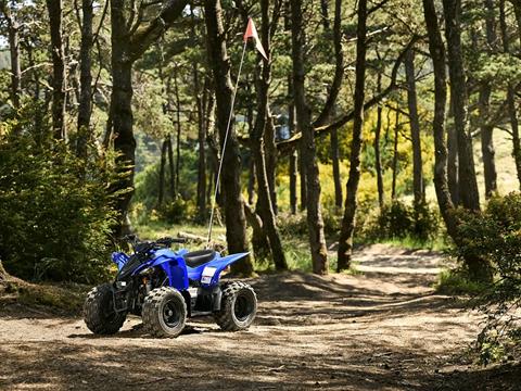 2025 Yamaha YFZ50 in Phillipston, Massachusetts - Photo 10