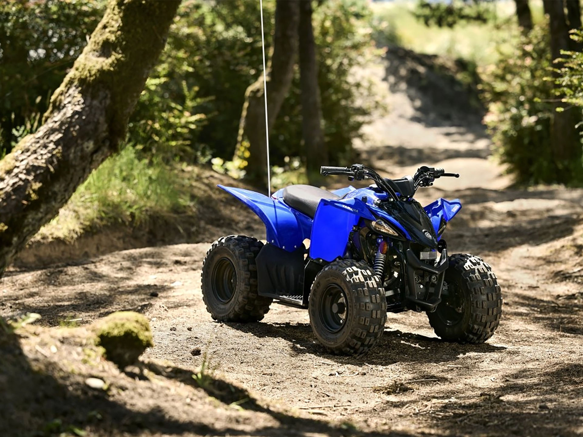 2025 Yamaha YFZ50 in Lafayette, Louisiana - Photo 11