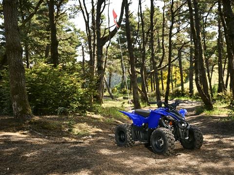 2025 Yamaha YFZ50 in Wake Forest, North Carolina - Photo 13