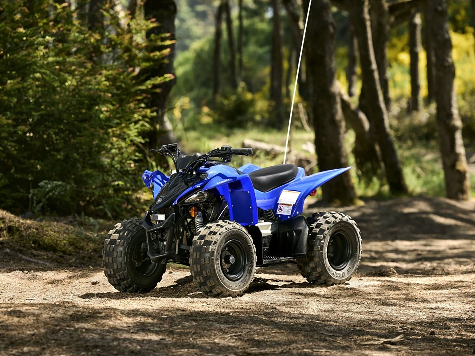 2025 Yamaha YFZ50 in Watkins Glen, New York - Photo 14