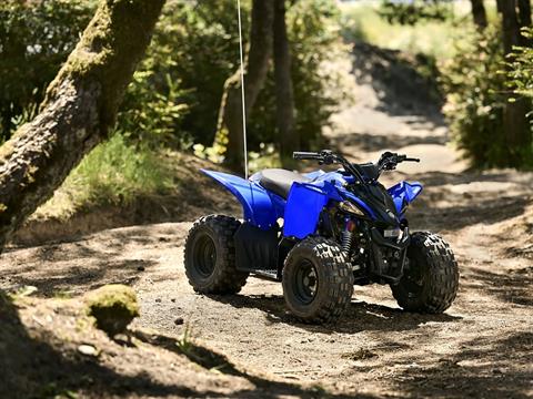 2025 Yamaha YFZ50 in Iowa City, Iowa - Photo 11