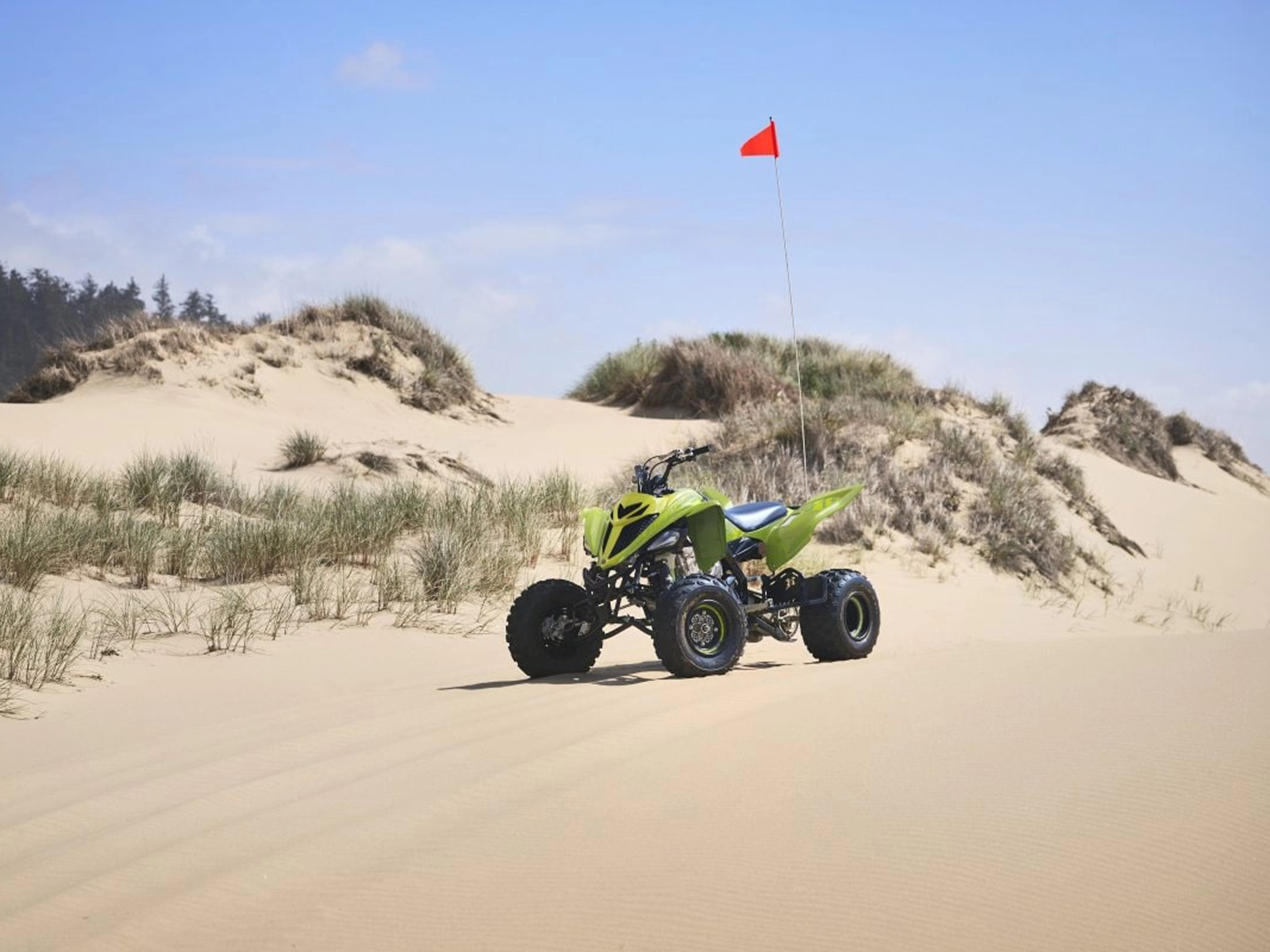 2025 Yamaha Raptor 700R SE in Mio, Michigan - Photo 12