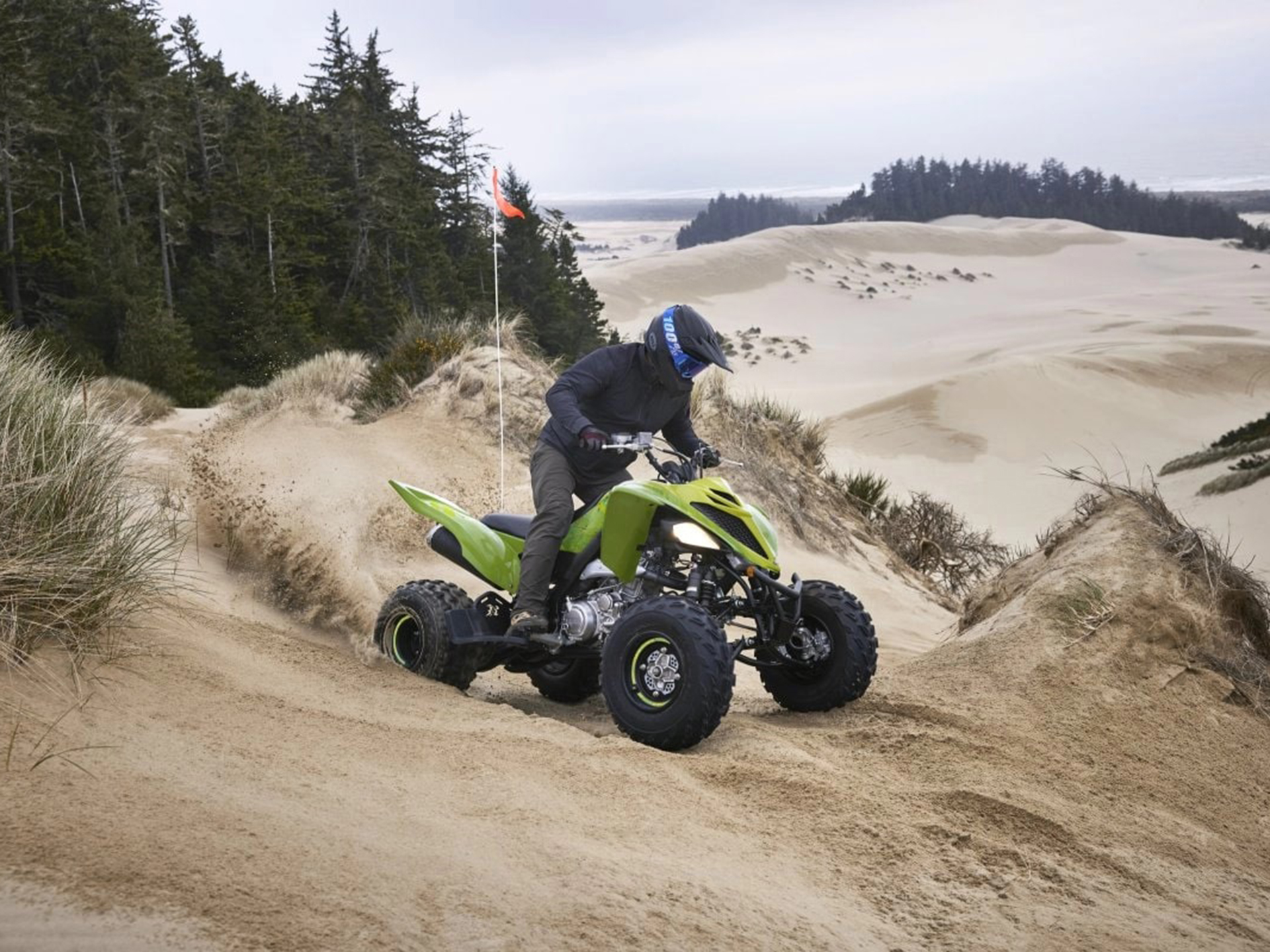 2025 Yamaha Raptor 700R SE in Mio, Michigan - Photo 15