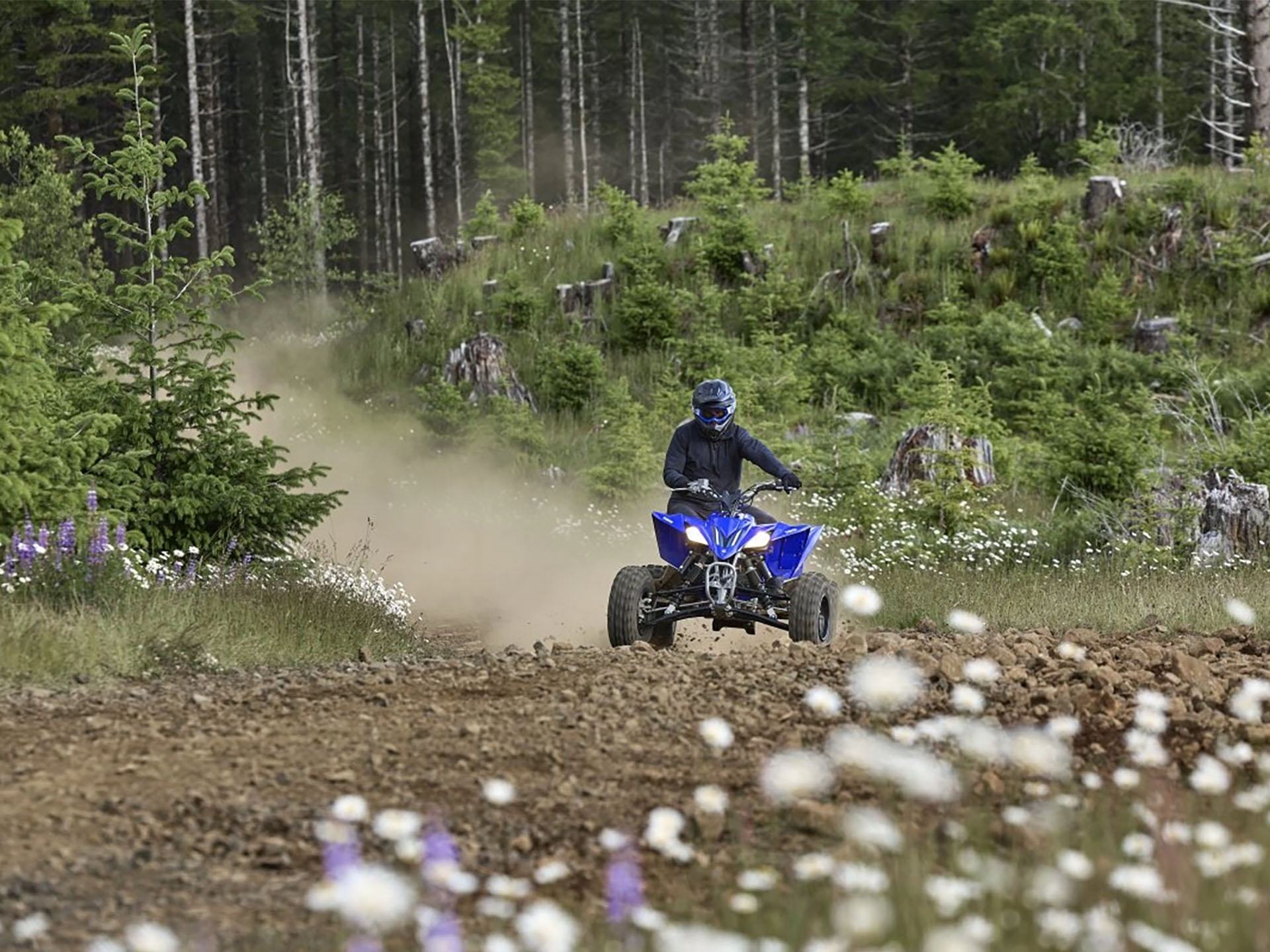 2025 Yamaha YFZ450R in Gaylord, Michigan - Photo 20