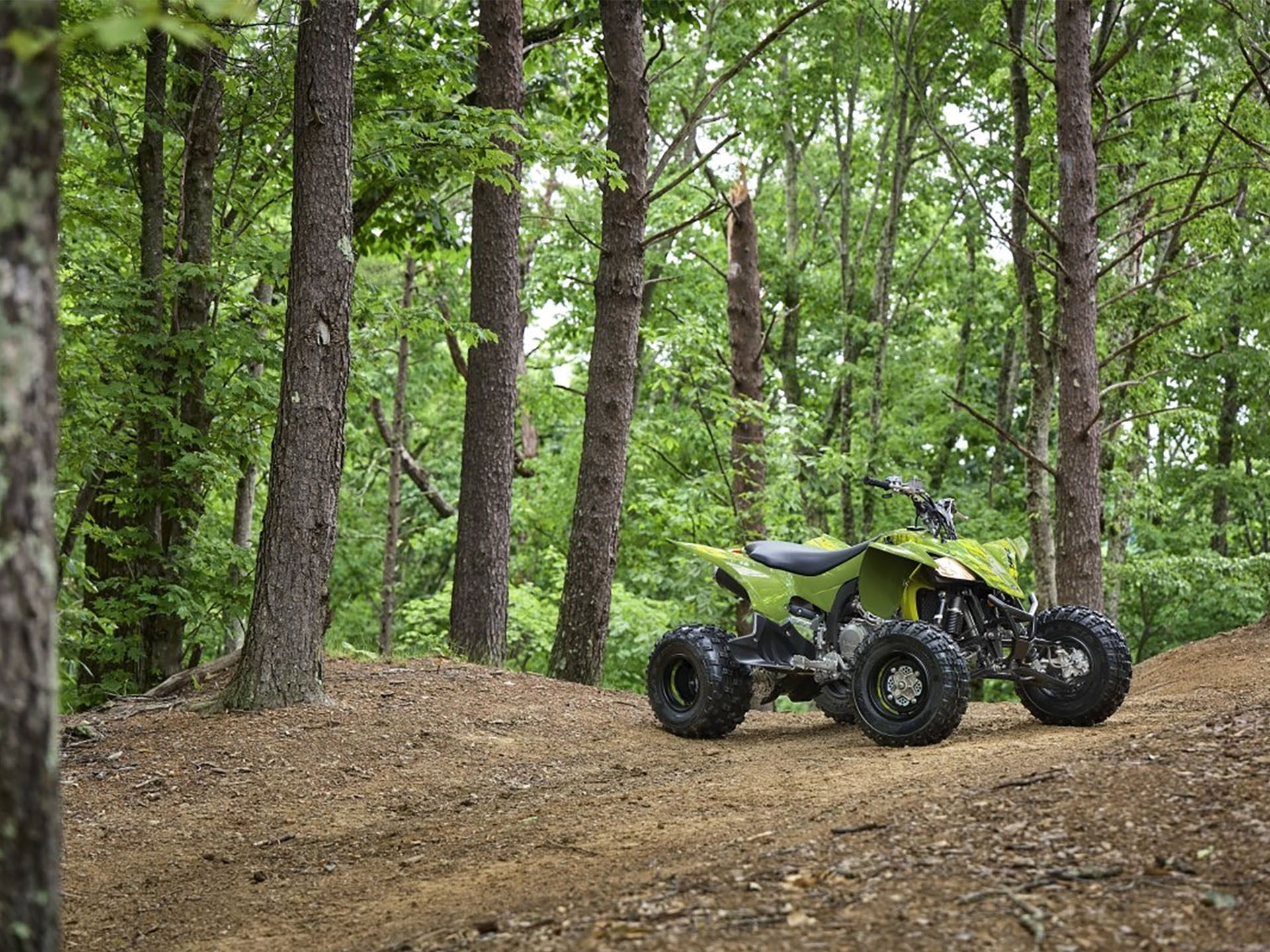 2025 Yamaha YFZ450R SE in Corbin, Kentucky - Photo 18