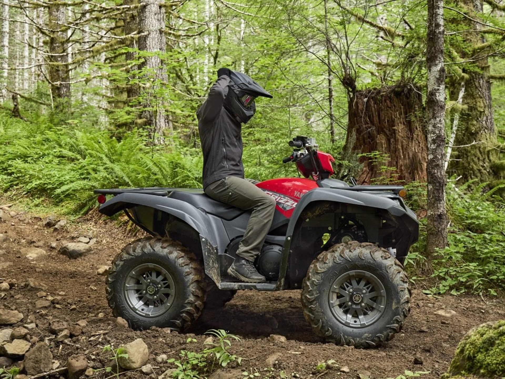 2025 Yamaha Grizzly EPS in Forest Lake, Minnesota - Photo 16