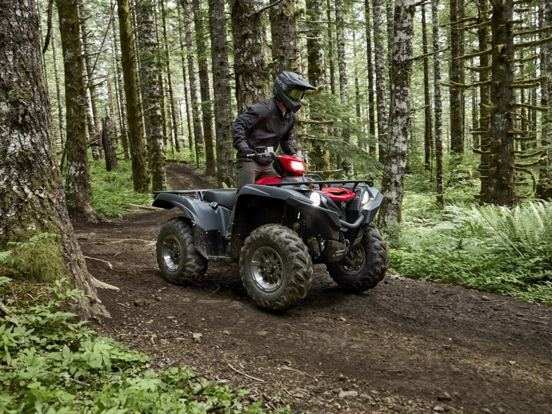 2025 Yamaha Grizzly EPS in Watkins Glen, New York - Photo 17