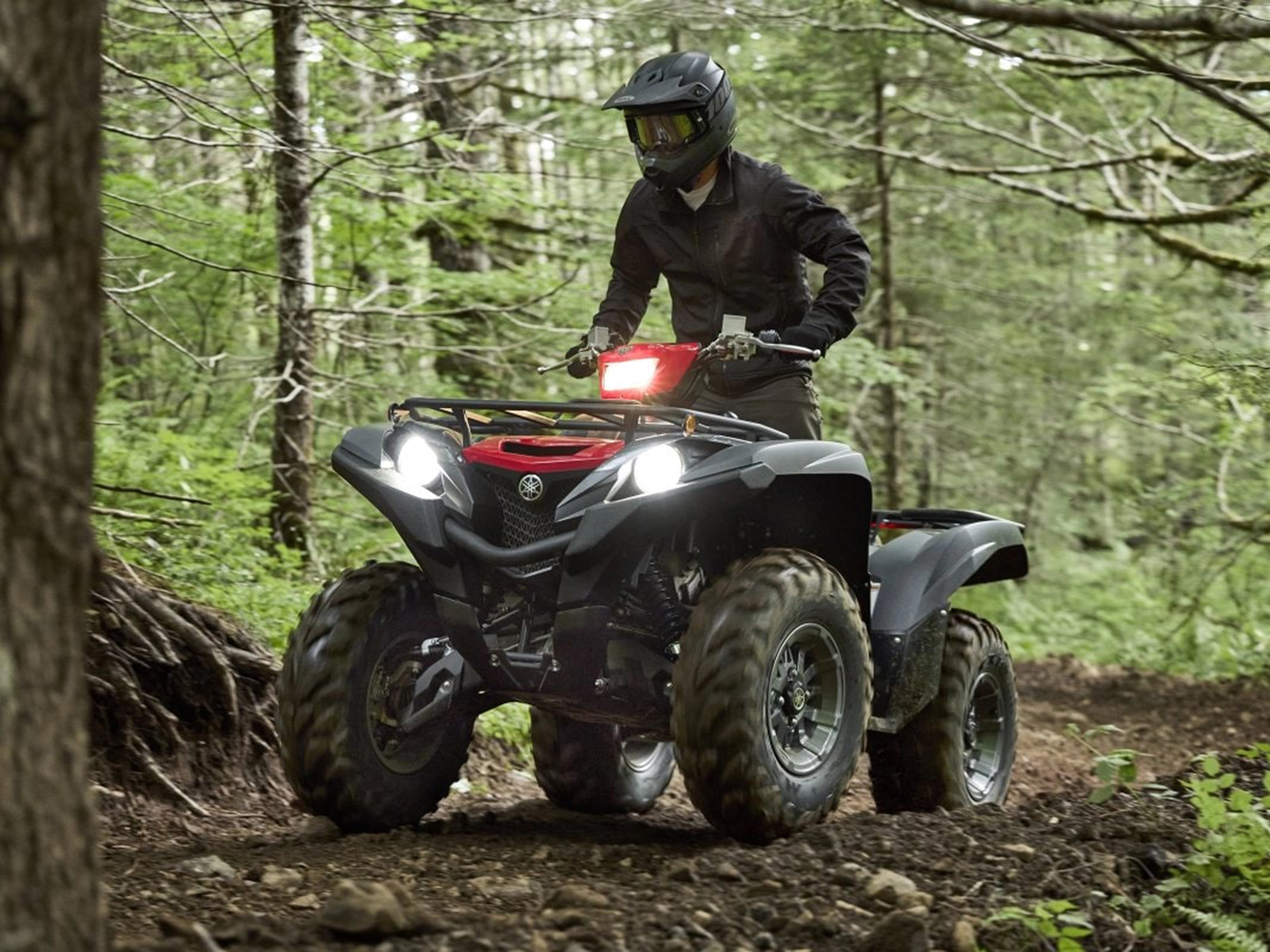 2025 Yamaha Grizzly EPS in Big Lake, Alaska - Photo 18