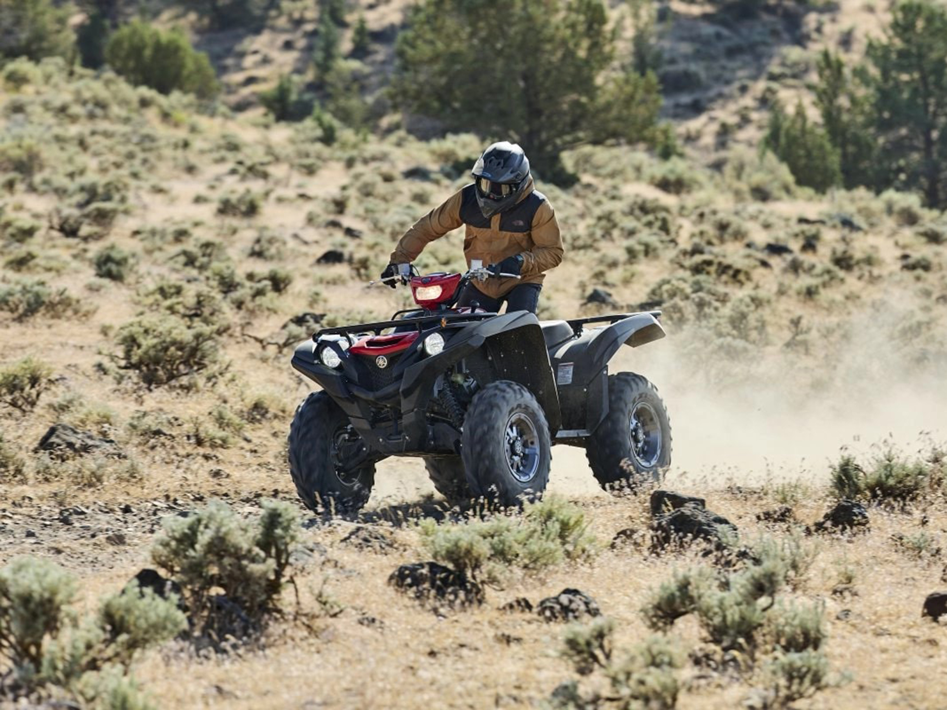 2025 Yamaha Grizzly EPS in Norfolk, Virginia - Photo 20