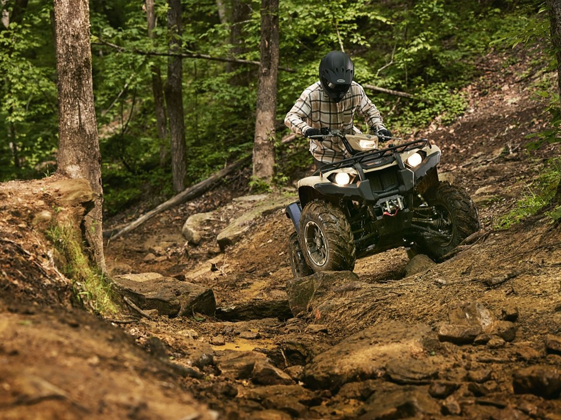 2025 Yamaha Kodiak 450 EPS SE in Forest Lake, Minnesota - Photo 10