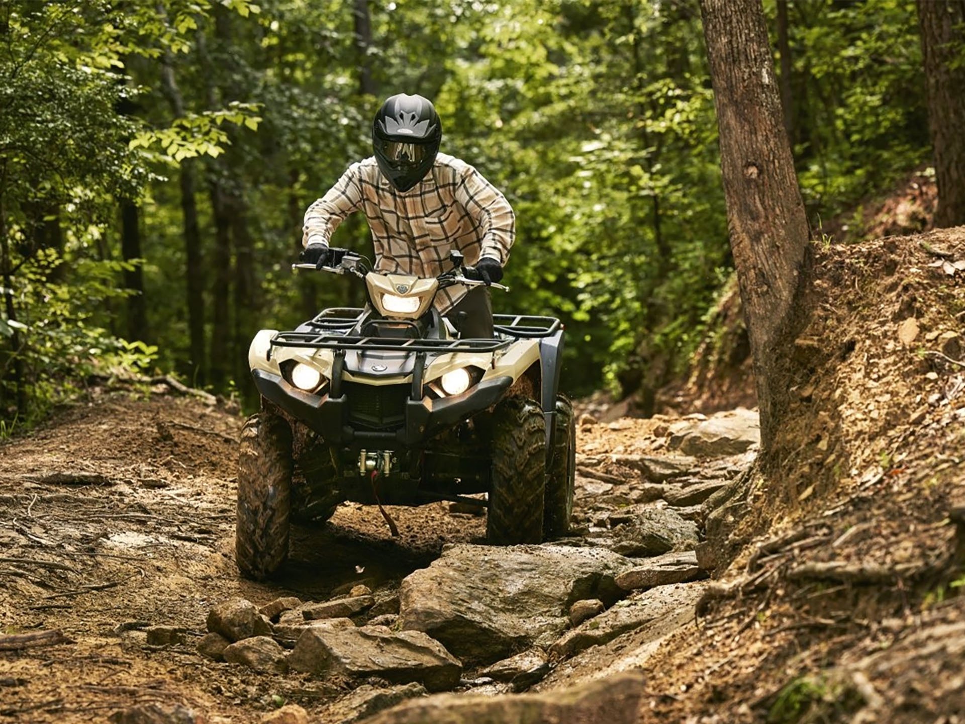 2025 Yamaha Kodiak 450 EPS SE in Mineola, New York - Photo 11