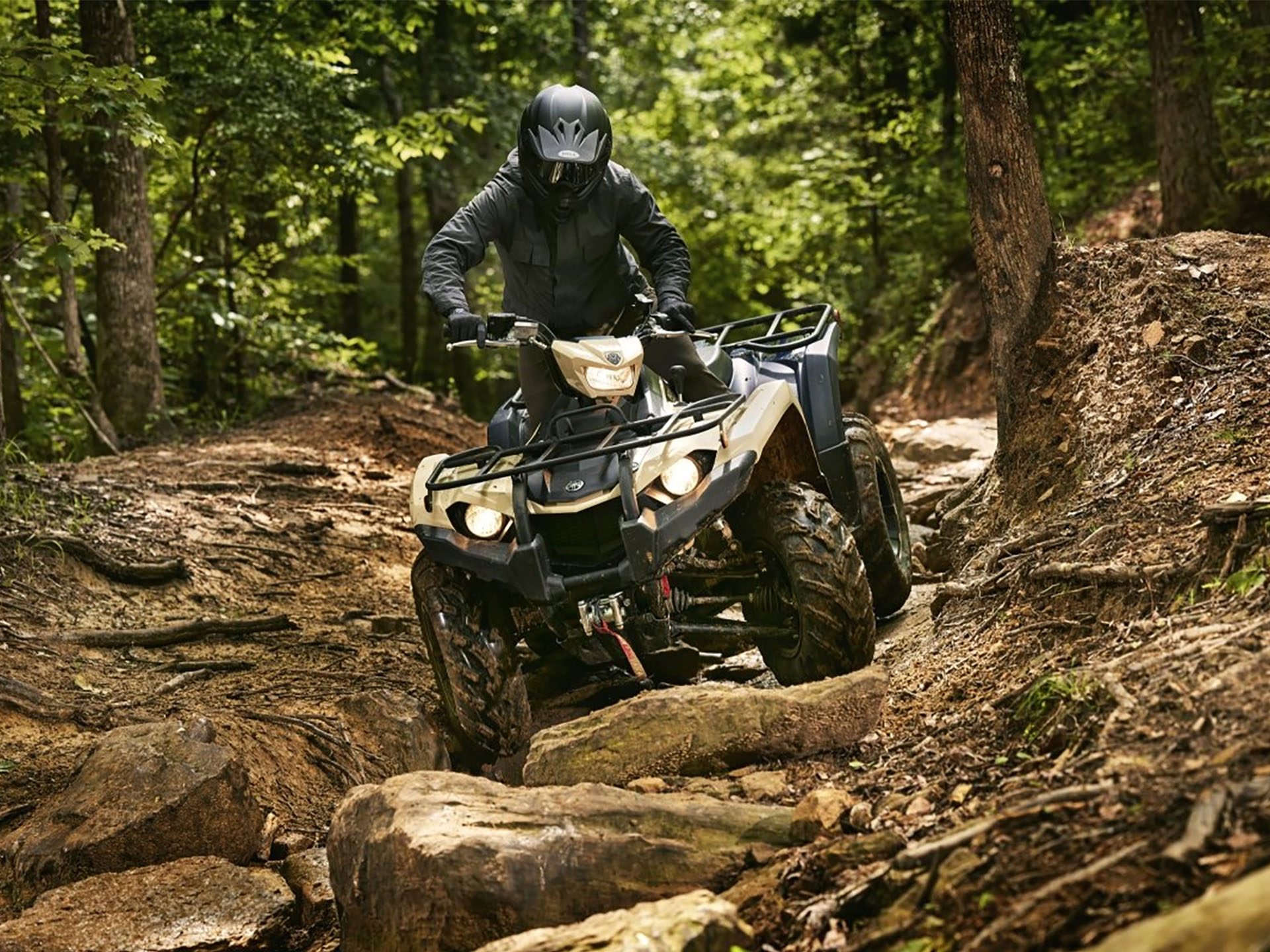 2025 Yamaha Kodiak 450 EPS SE in Corbin, Kentucky - Photo 13