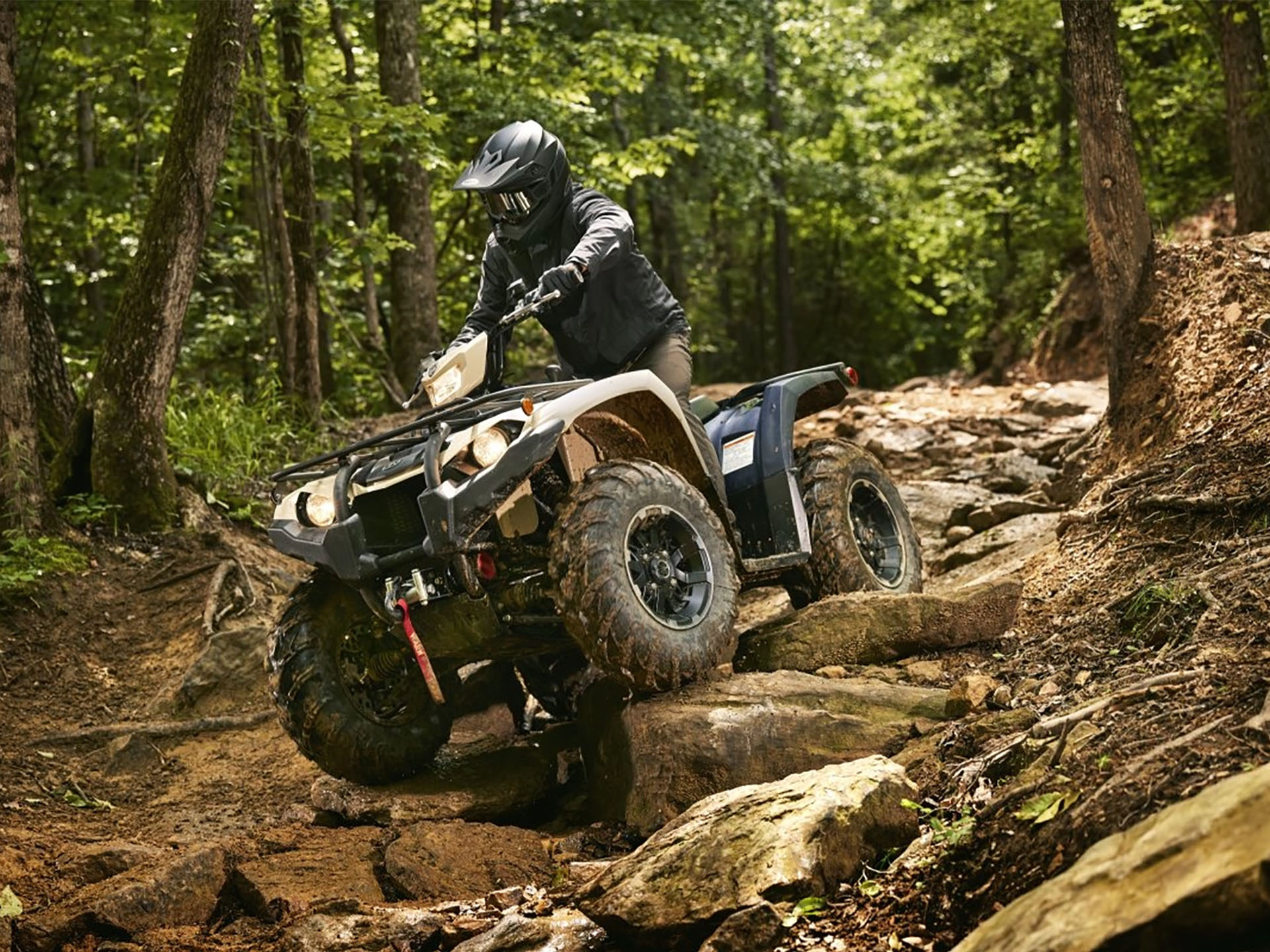 2025 Yamaha Kodiak 450 EPS SE in New Hudson, Michigan - Photo 14