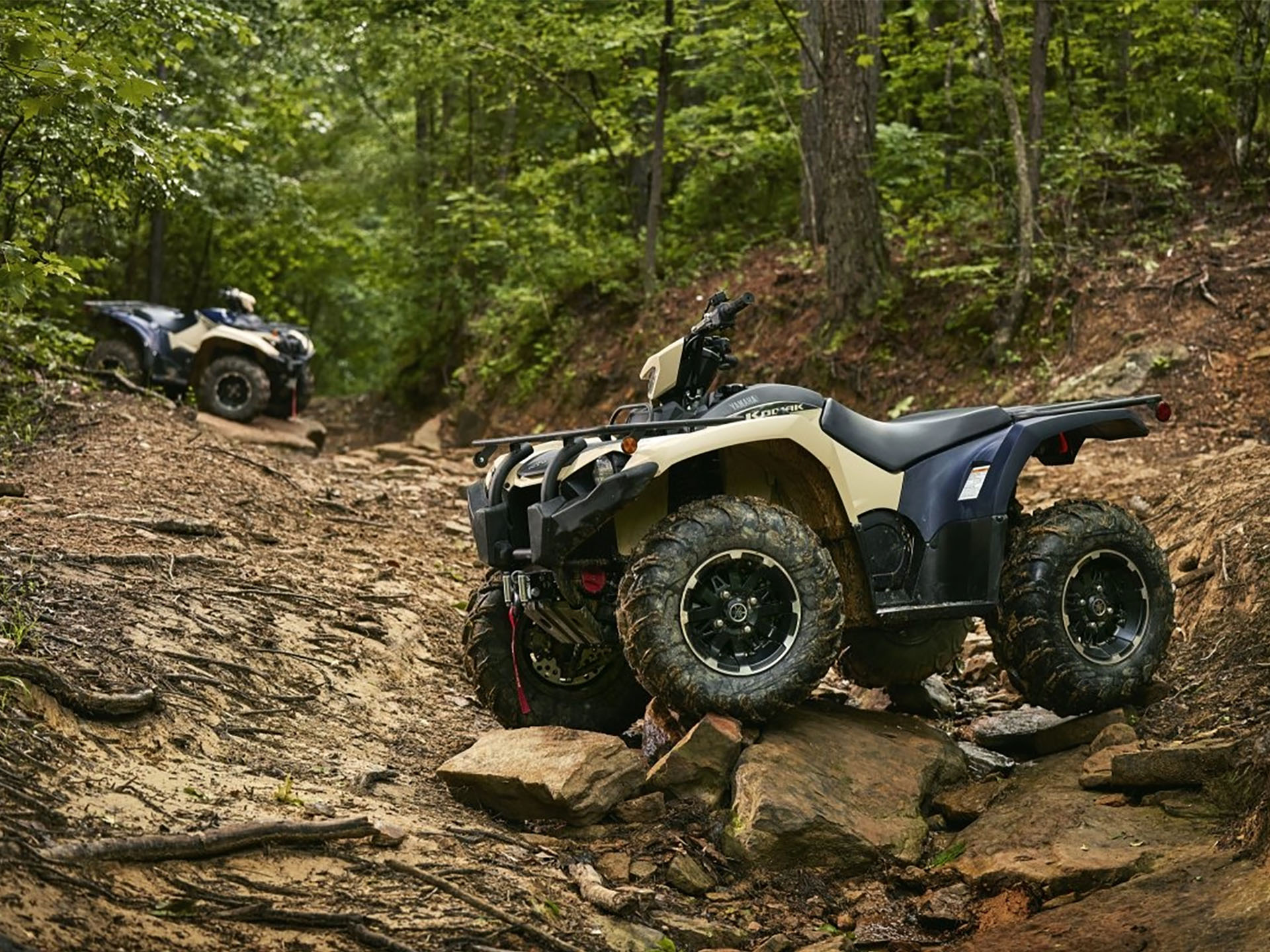 2025 Yamaha Kodiak 450 EPS SE in Norfolk, Virginia - Photo 19