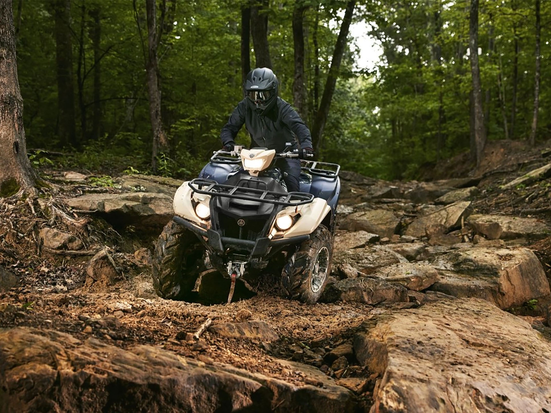 2025 Yamaha Kodiak 700 EPS SE in Pikeville, Kentucky - Photo 8