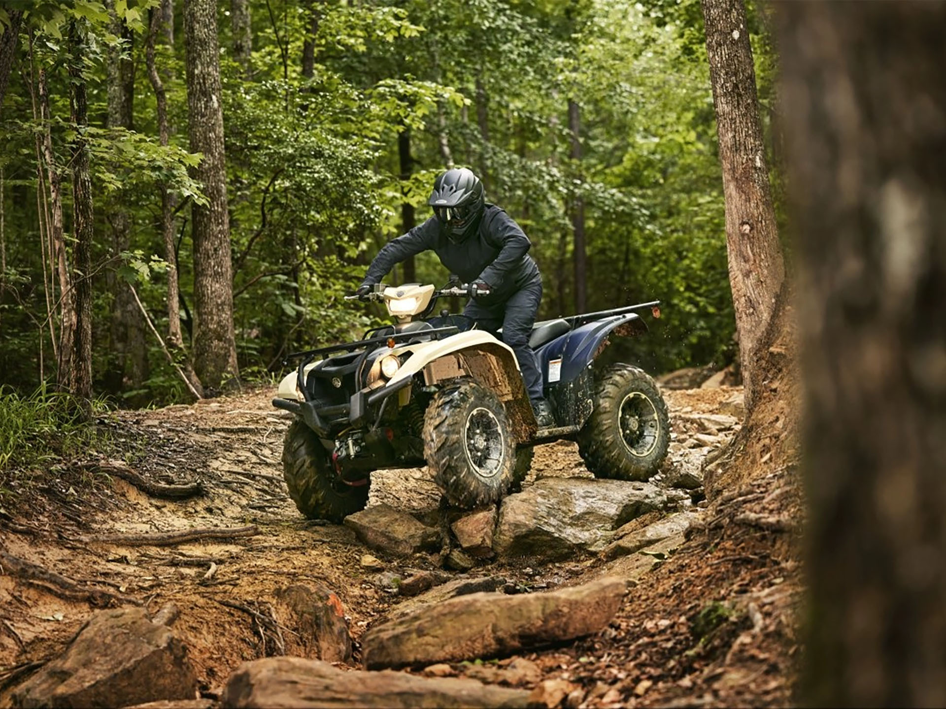 2025 Yamaha Kodiak 700 EPS SE in Pikeville, Kentucky - Photo 10