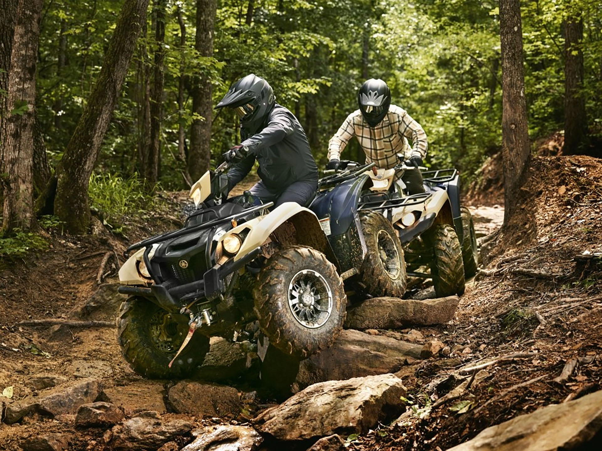 2025 Yamaha Kodiak 700 EPS SE in Hicksville, New York - Photo 14