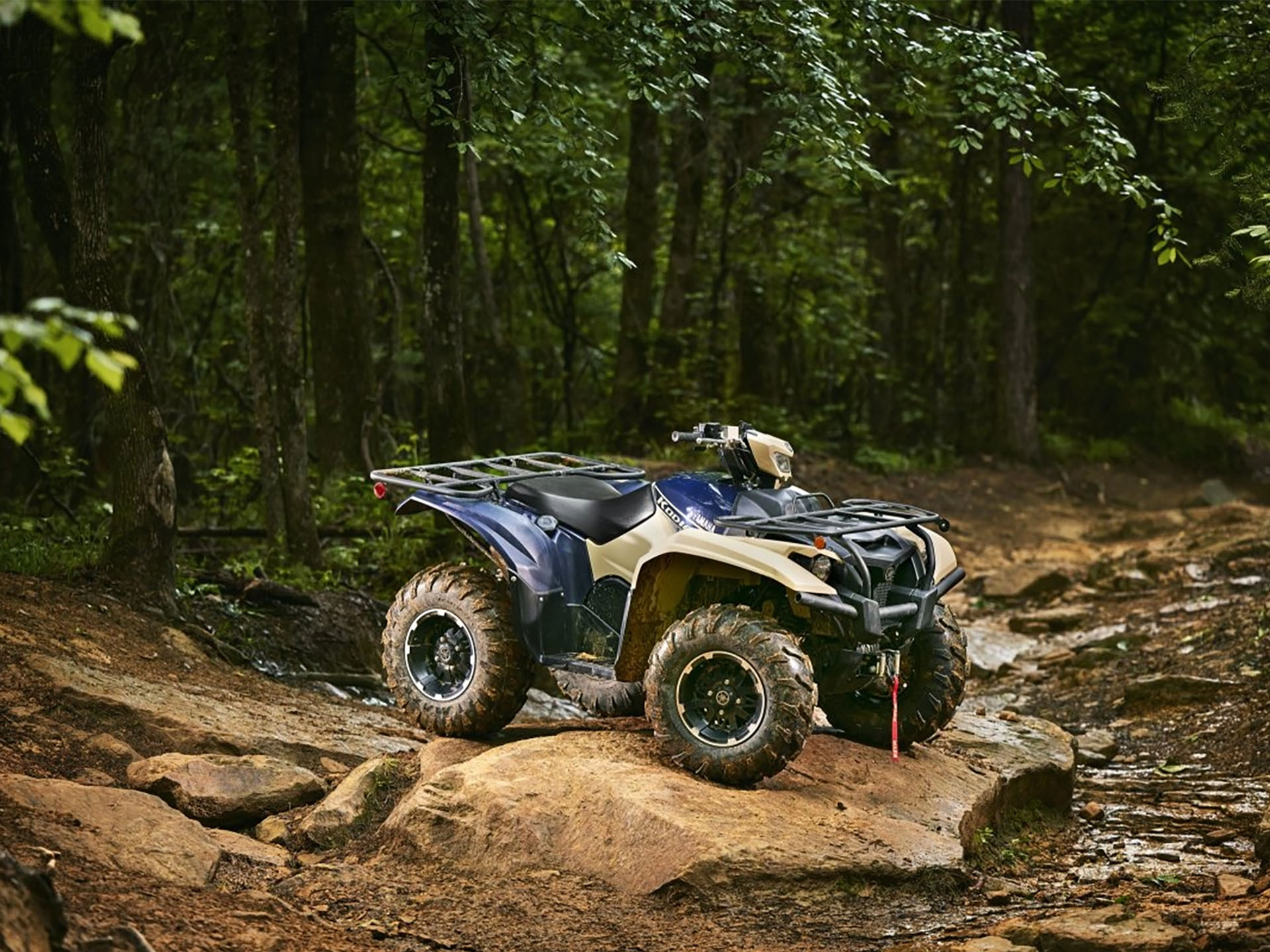 2025 Yamaha Kodiak 700 EPS SE in Greenville, North Carolina - Photo 18