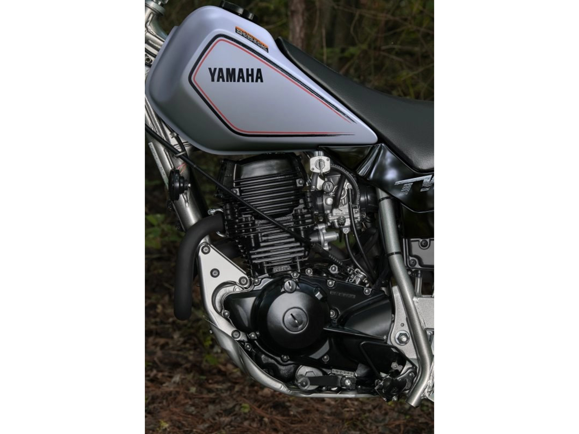 2025 Yamaha TW200 in Hicksville, New York - Photo 11