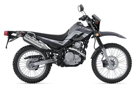 2025 Yamaha XT250 in Denver, Colorado