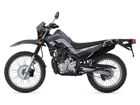 2025 Yamaha XT250 in Albuquerque, New Mexico - Photo 2