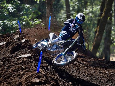 2025 Yamaha YZ450F Monster Energy Edition in Brooklyn, New York - Photo 9