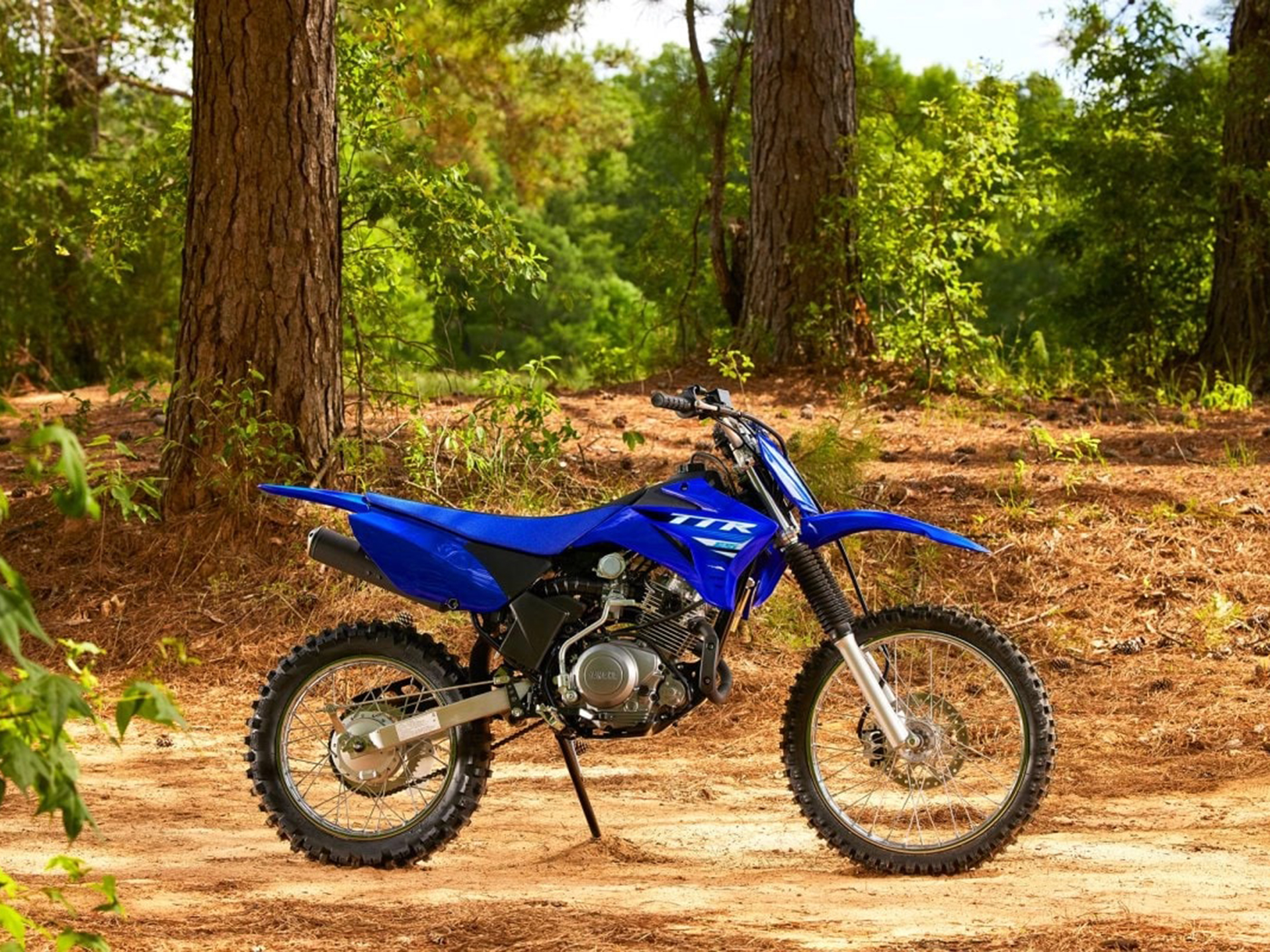 2025 Yamaha TT-R125LE in Asheville, North Carolina - Photo 12