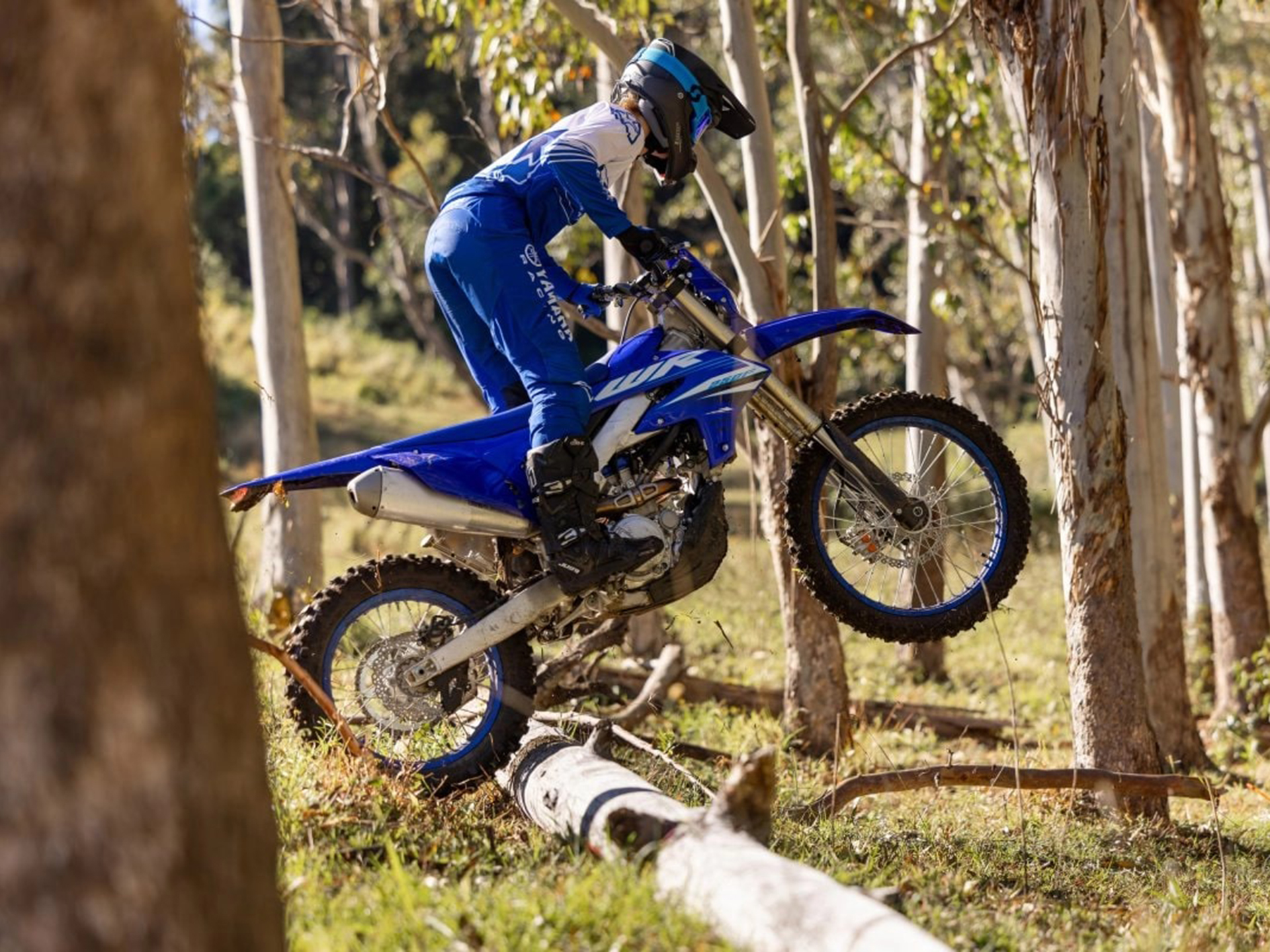 2025 Yamaha WR250F in Homer, Alaska - Photo 15