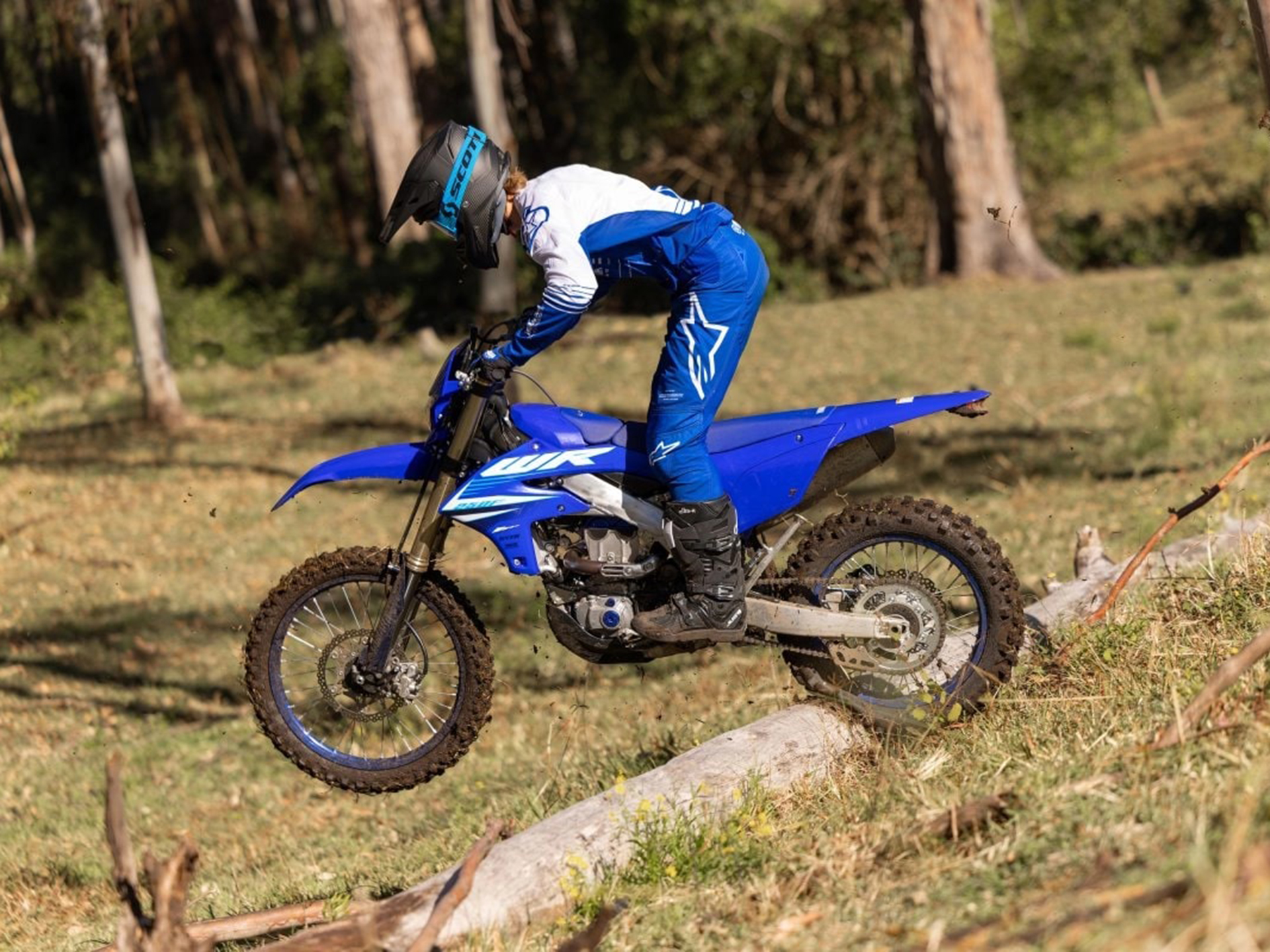 2025 Yamaha WR250F in Moline, Illinois - Photo 16