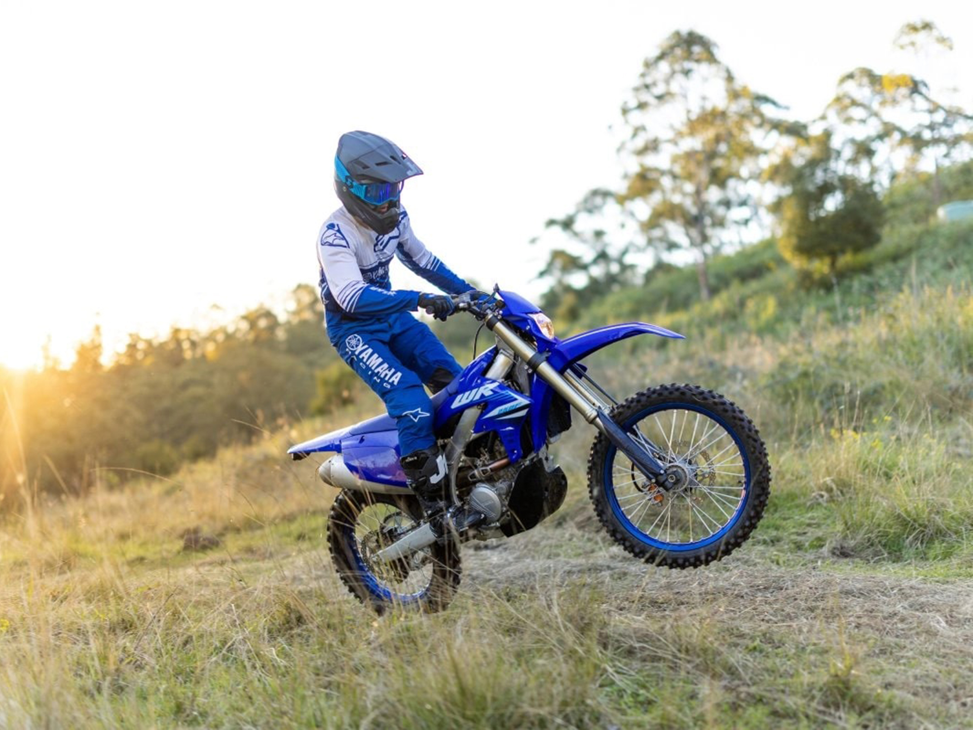 2025 Yamaha WR250F in Corbin, Kentucky - Photo 17