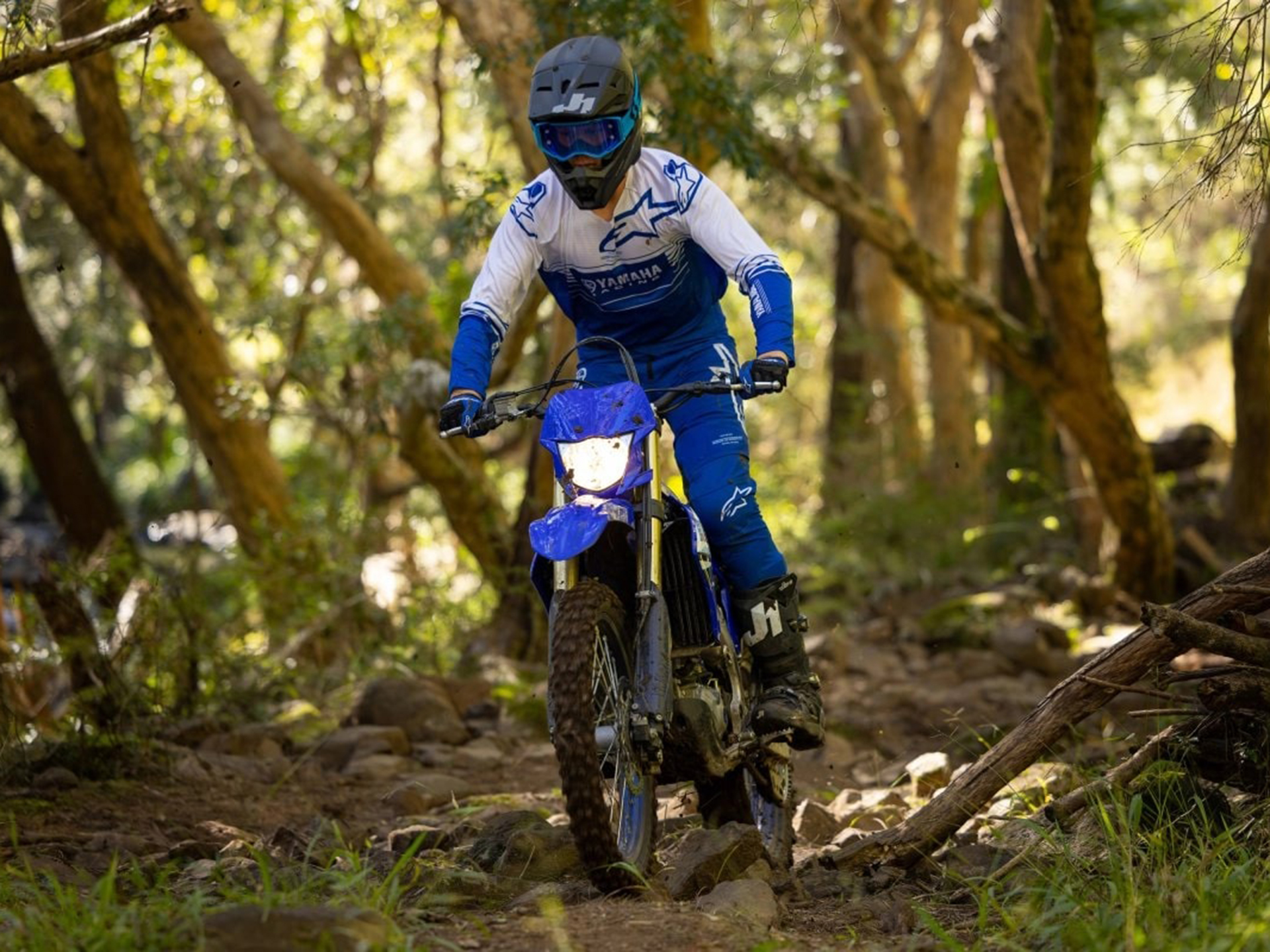 2025 Yamaha WR450F in Seneca, Pennsylvania - Photo 16