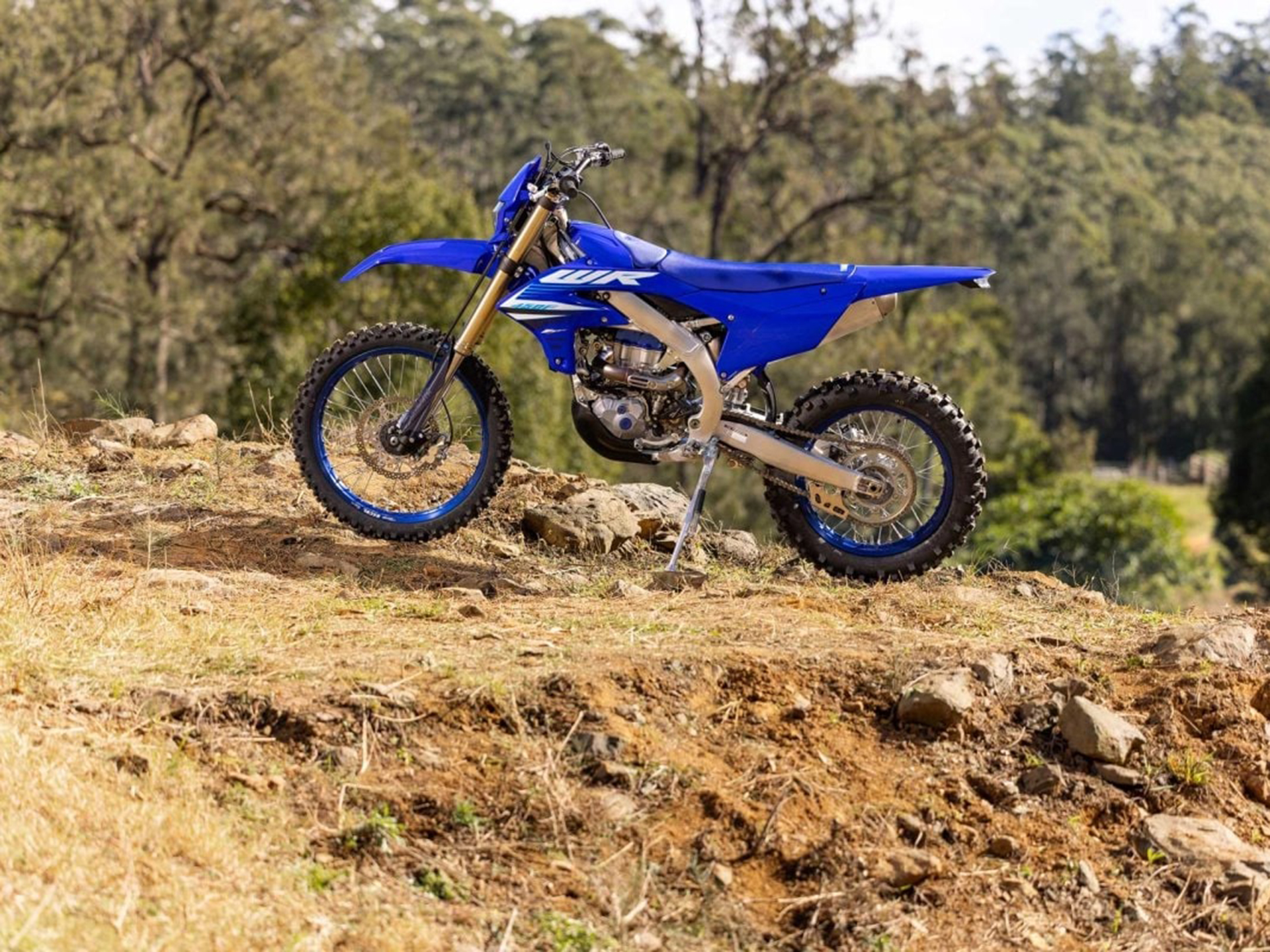 2025 Yamaha WR450F in Lewiston, Idaho - Photo 17