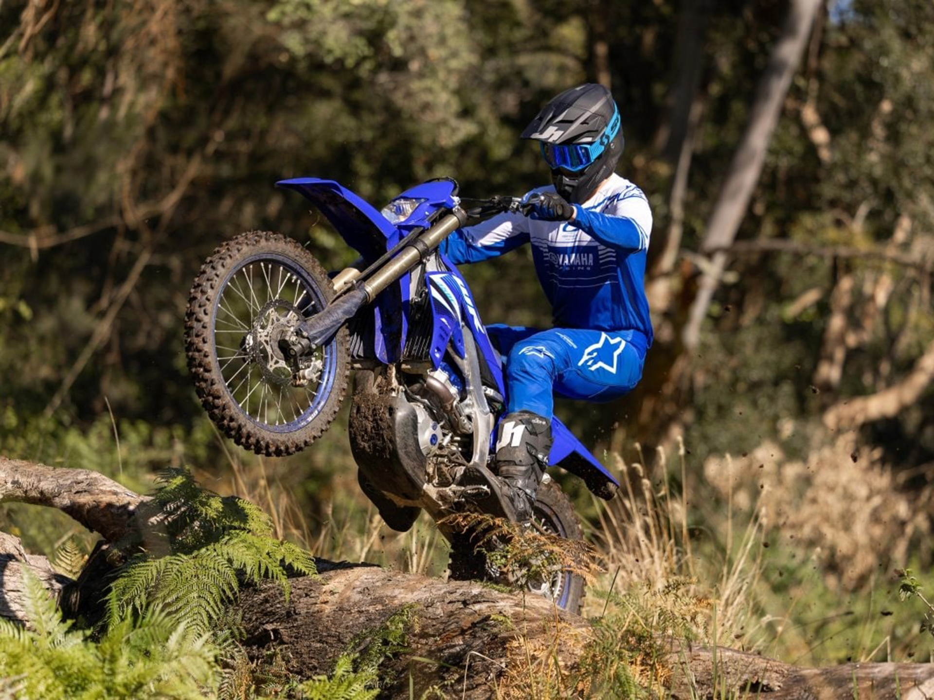 2025 Yamaha WR450F in Lewiston, Idaho - Photo 19