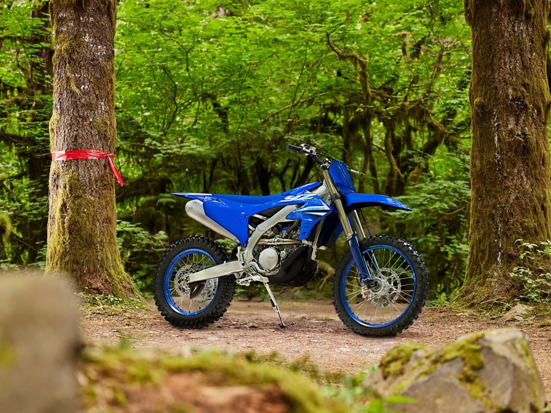 2025 Yamaha YZ250FX in Watkins Glen, New York - Photo 7