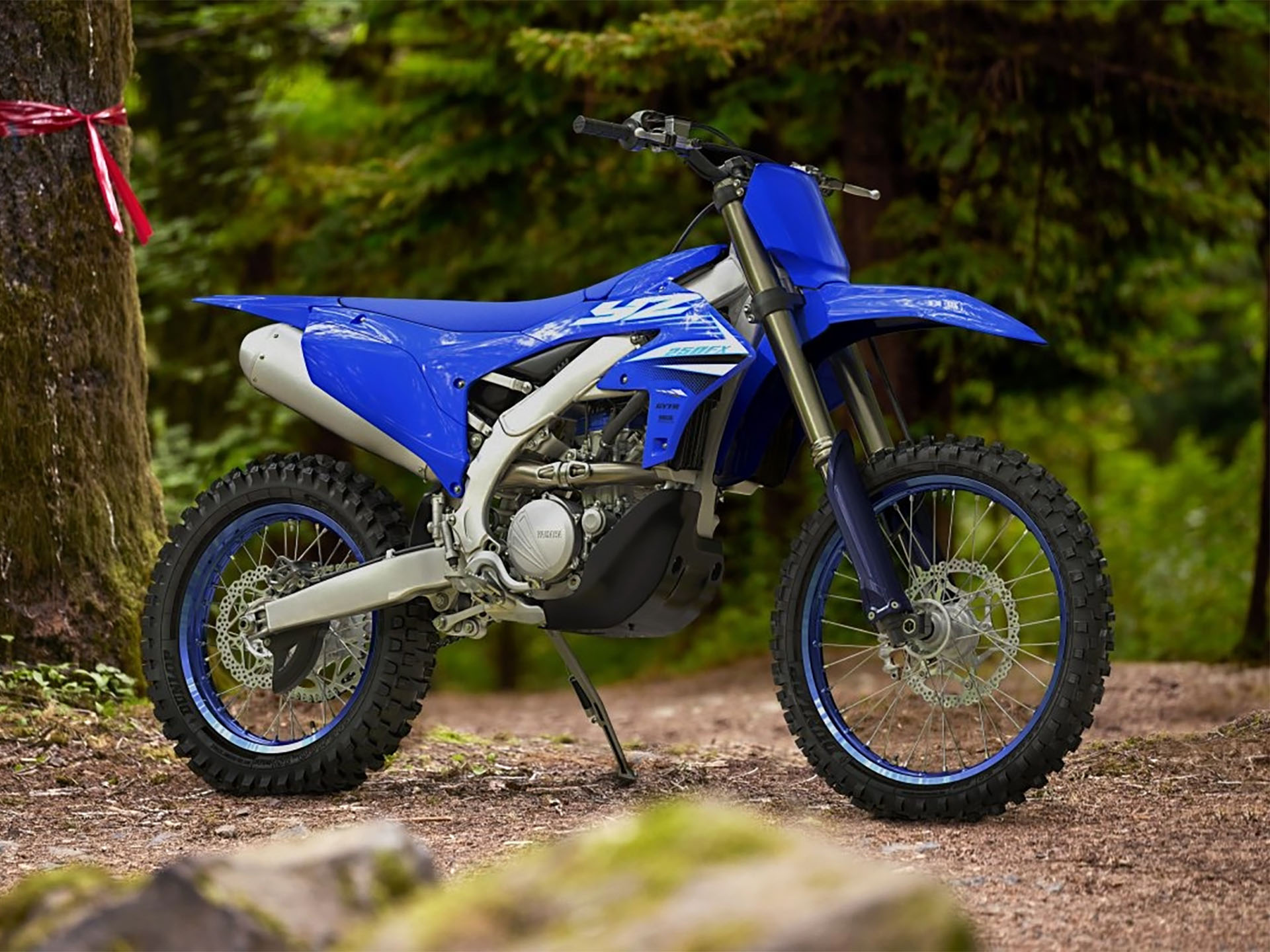 2025 Yamaha YZ250FX in Frederick, Maryland - Photo 9