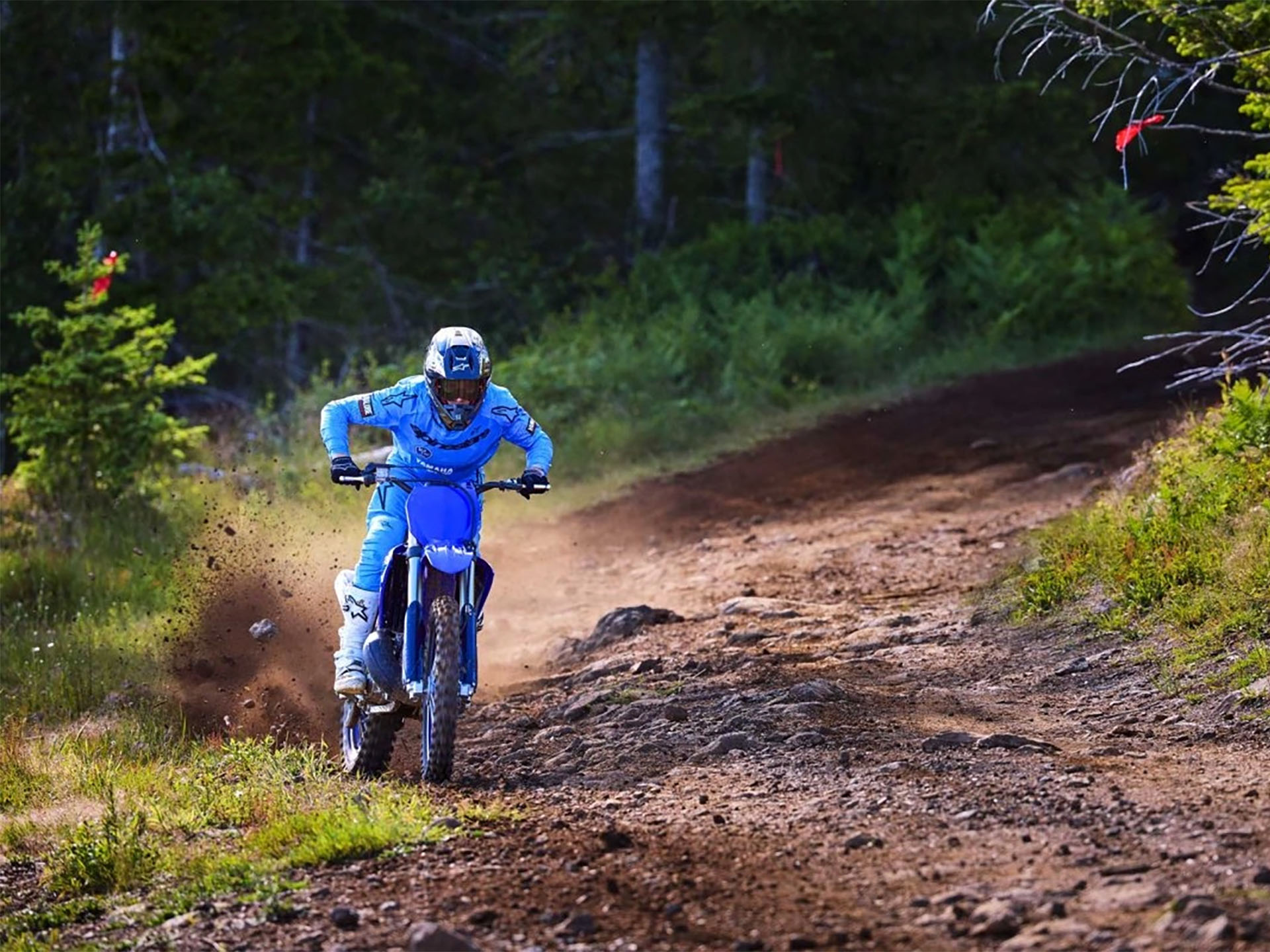 2025 Yamaha YZ250X in Corbin, Kentucky - Photo 11