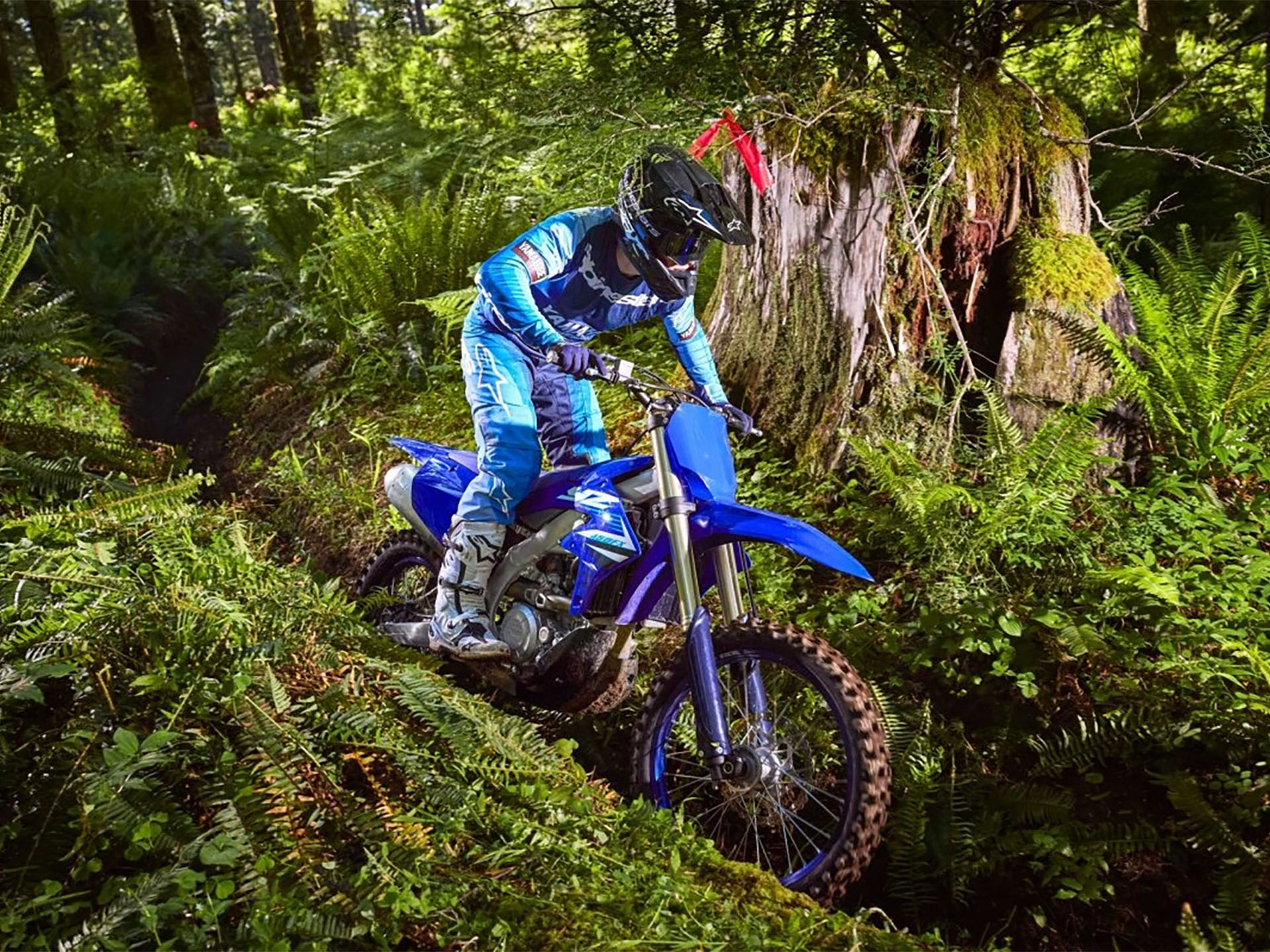 2025 Yamaha YZ450FX in New Hudson, Michigan - Photo 7