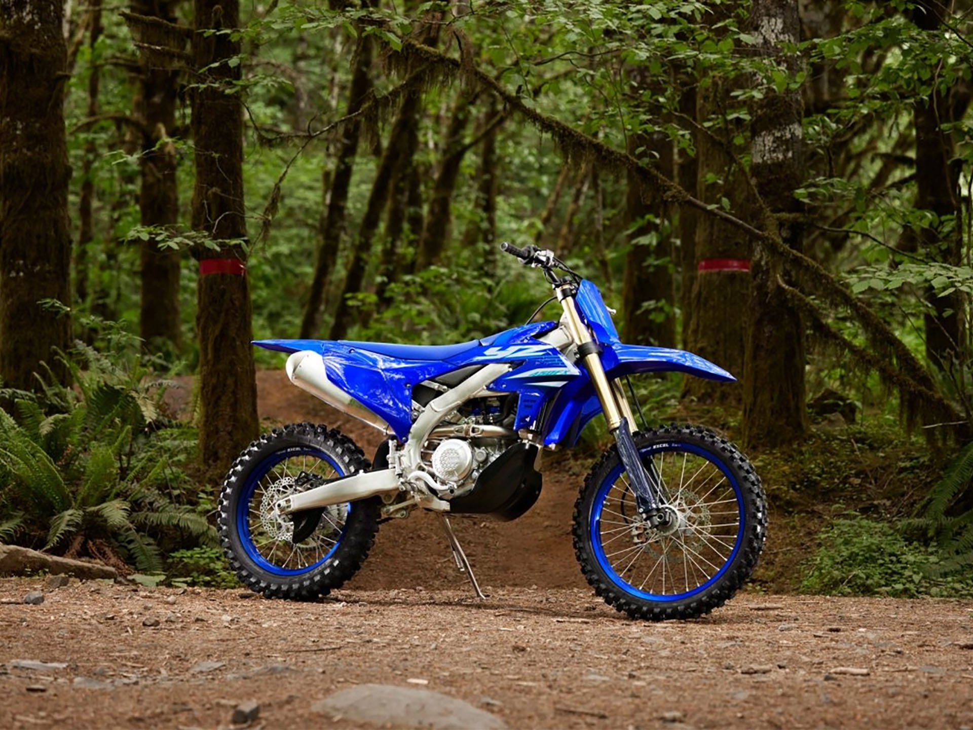 2025 Yamaha YZ450FX in Iowa City, Iowa - Photo 11