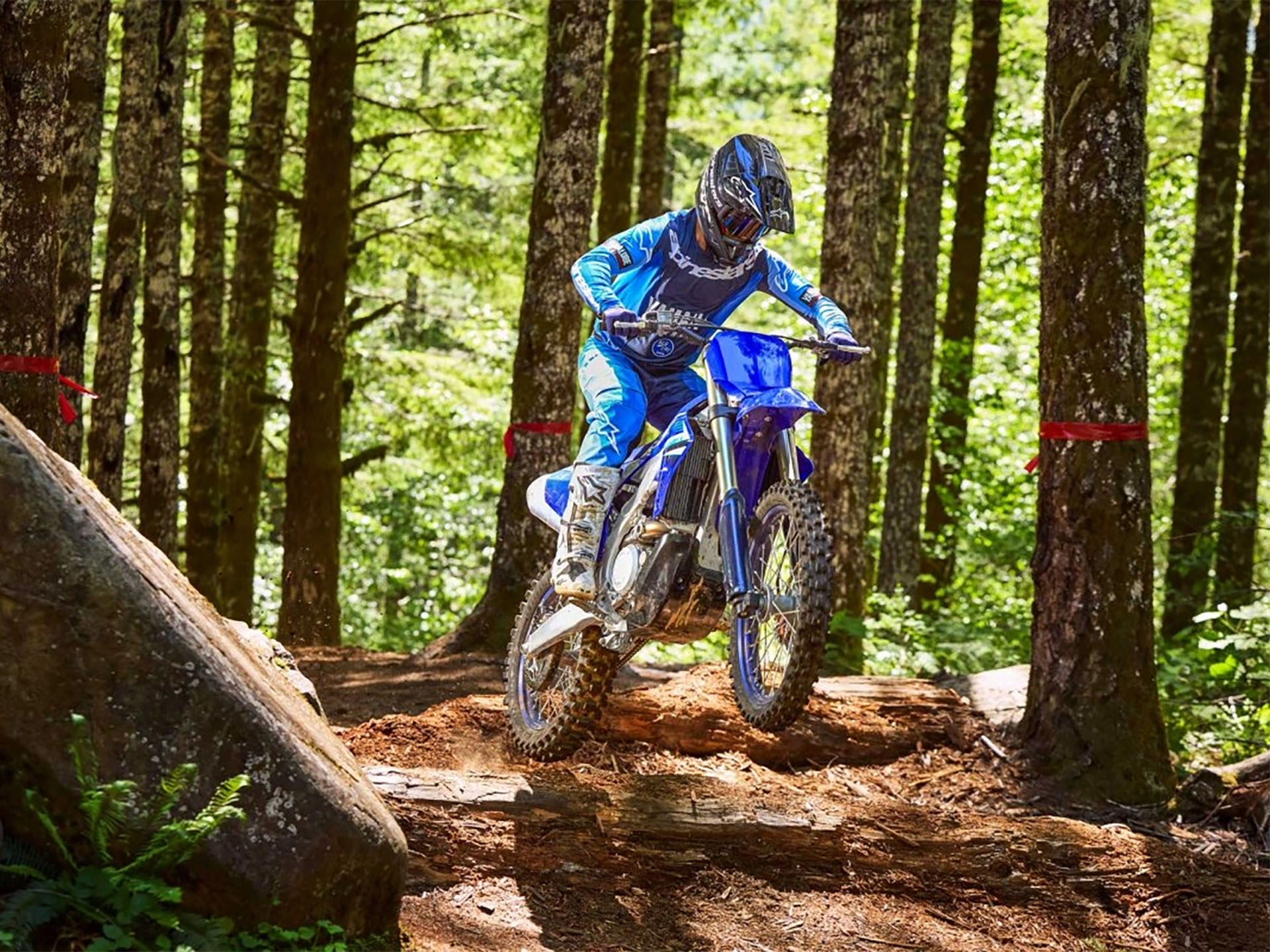 2025 Yamaha YZ450FX in Manheim, Pennsylvania - Photo 12