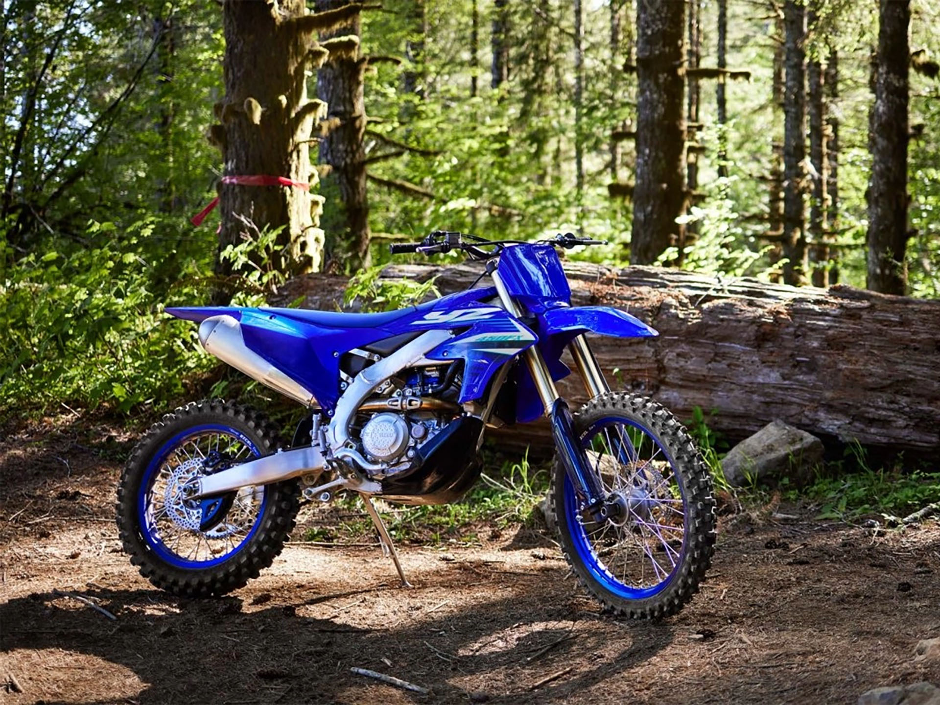 2025 Yamaha YZ450FX in Fairview, Utah - Photo 13