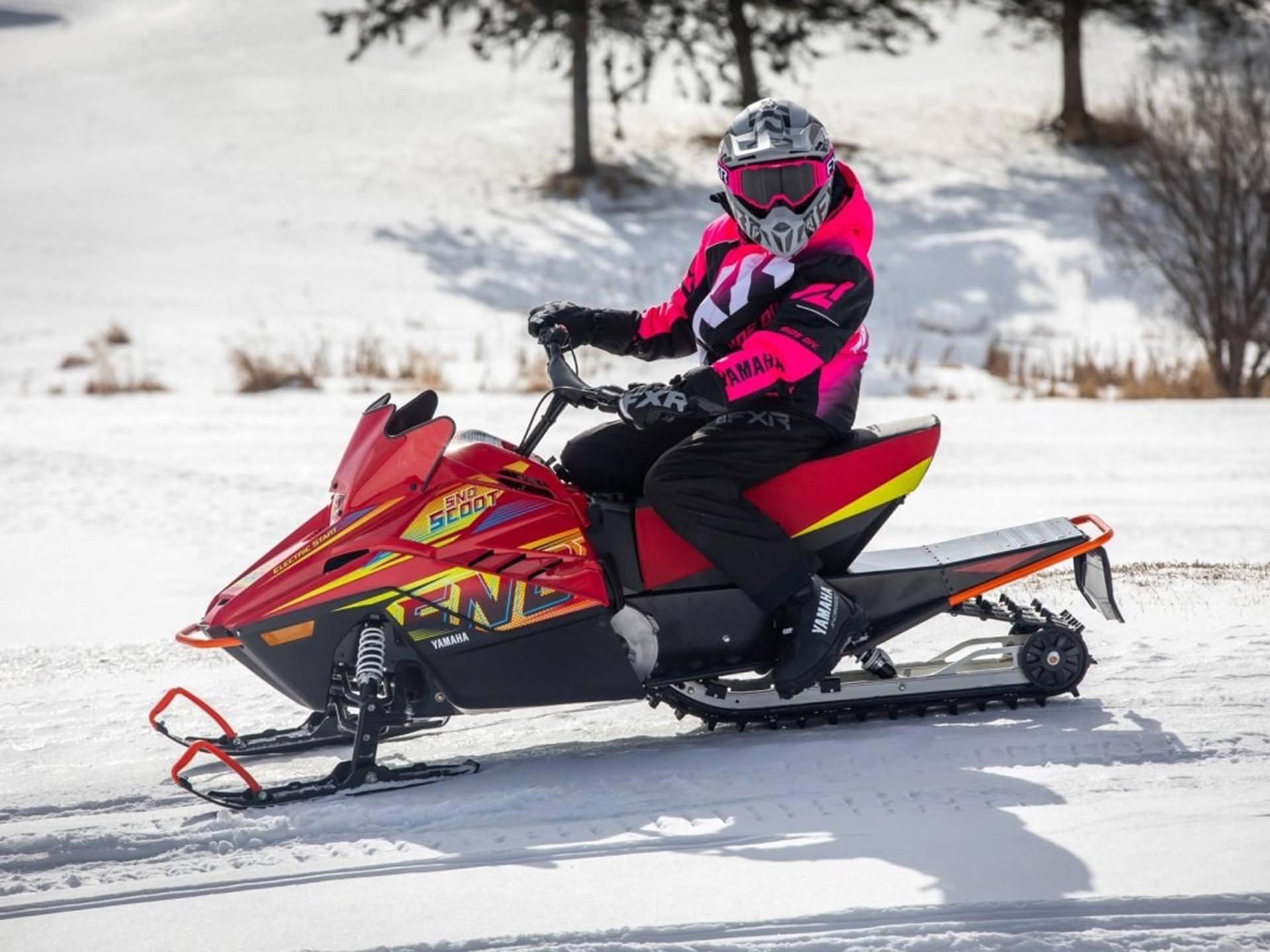 2025 Yamaha Snoscoot ES in Trego, Wisconsin - Photo 20