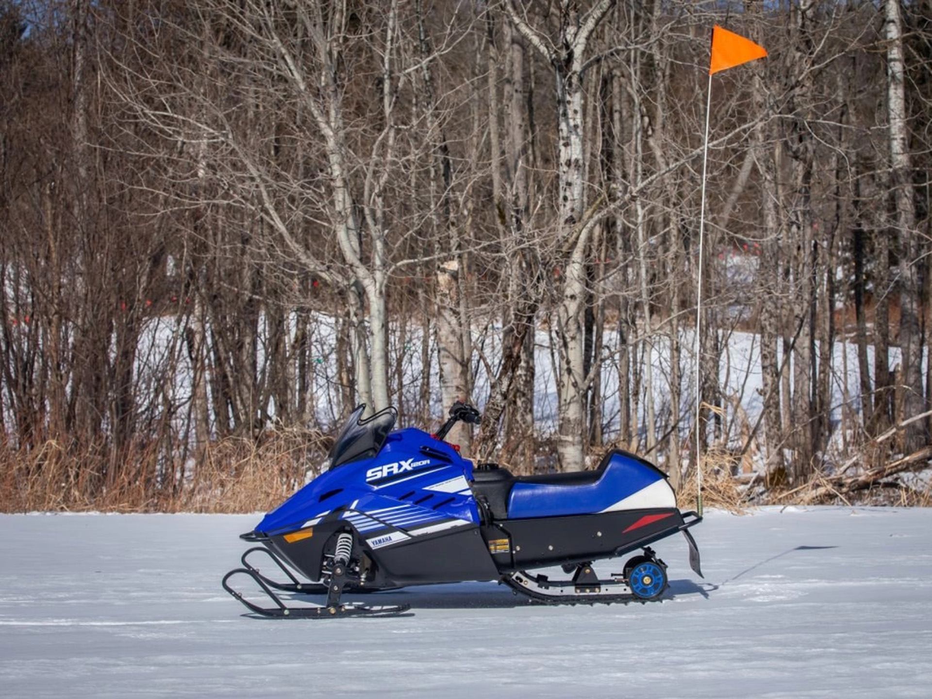 2025 Yamaha SRX120R in Saint Johnsbury, Vermont - Photo 14