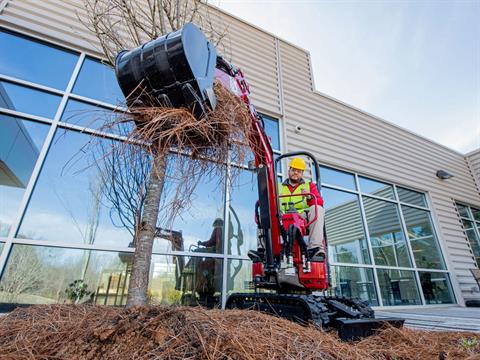 2024 Yanmar SV08-1D in Loxley, Alabama - Photo 6